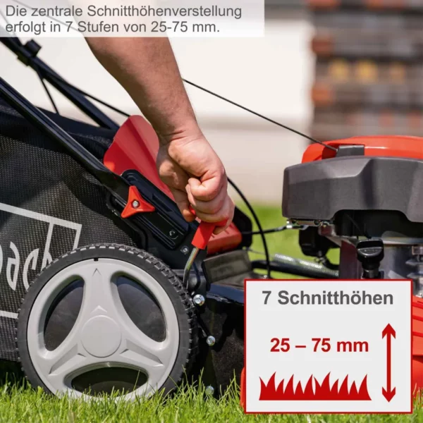 Scheppach Benzin-Rasenmäher MS230-53 | 224 cm³ 4-Takt-Benzinmotor mit 6PS / 5150W | 53cm Schnittbreite | Höhenverstellbar | Radantrieb | inkl. Motoröl