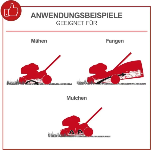 Scheppach Benzin-Rasenmäher MS230-53 | 224 cm³ 4-Takt-Benzinmotor mit 6PS / 5150W | 53cm Schnittbreite | Höhenverstellbar | Radantrieb | inkl. Motoröl